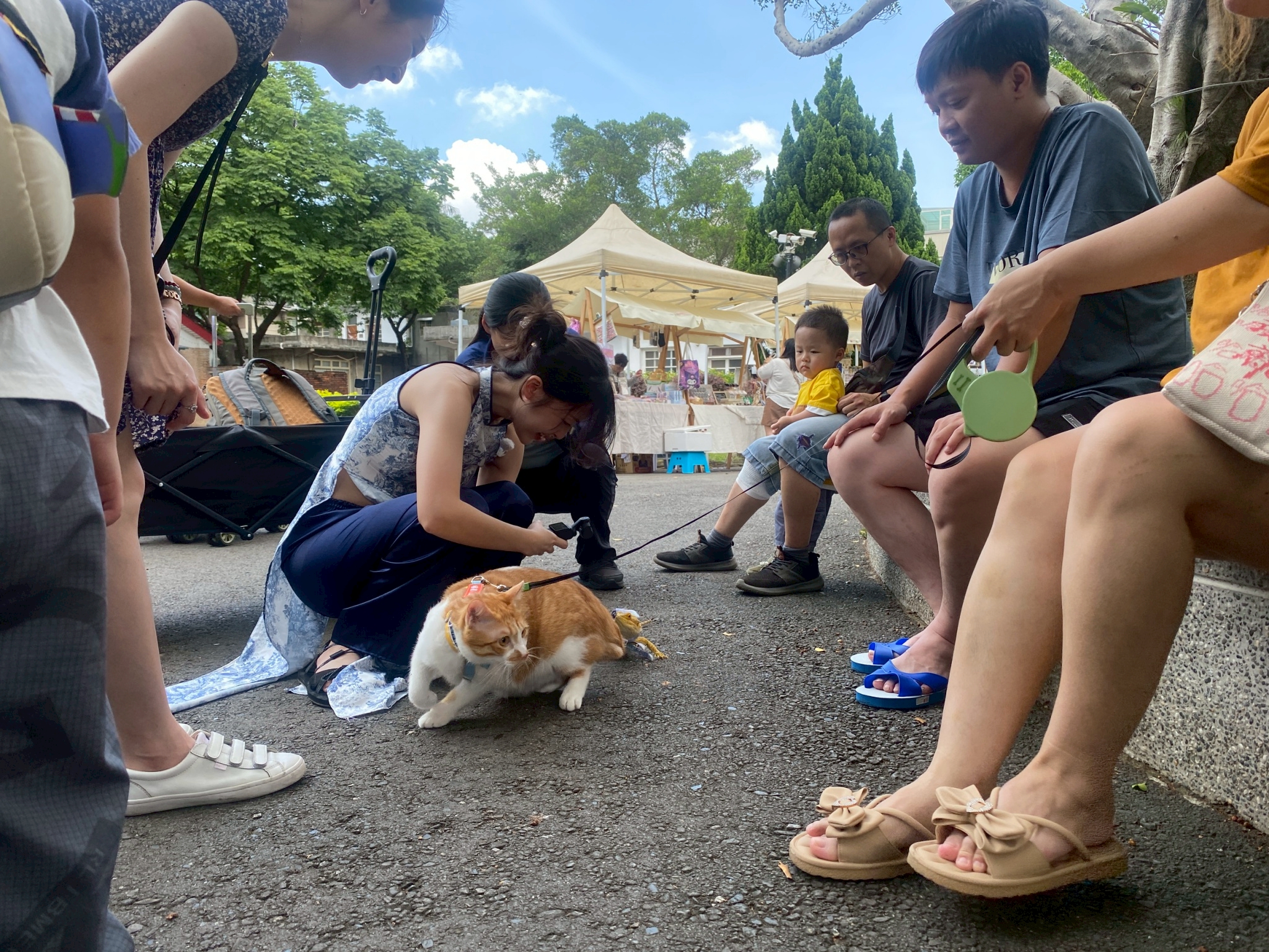 LINE ALBUM 625 6月寵物市集貼文 250625 23