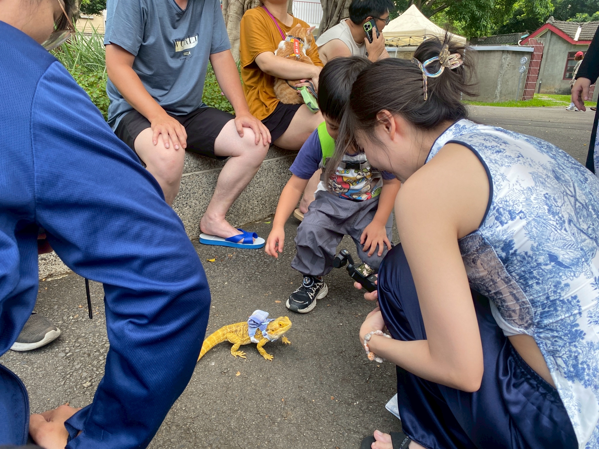 LINE ALBUM 625 6月寵物市集貼文 250625 24