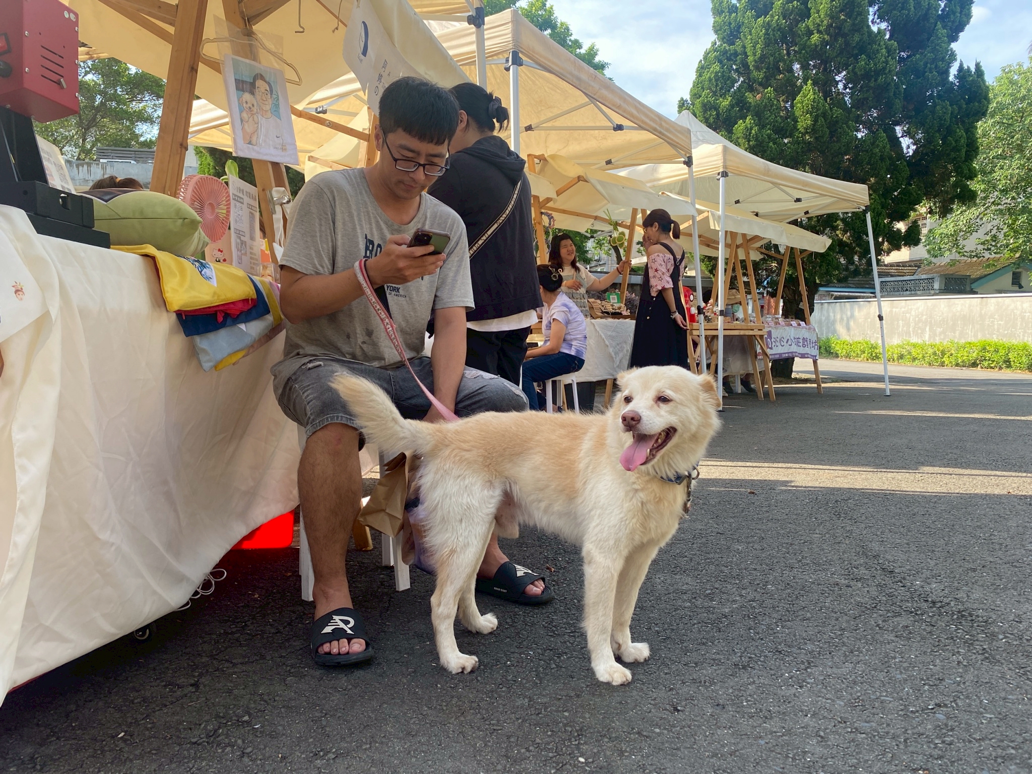 LINE ALBUM 625 6月寵物市集貼文 250625 27