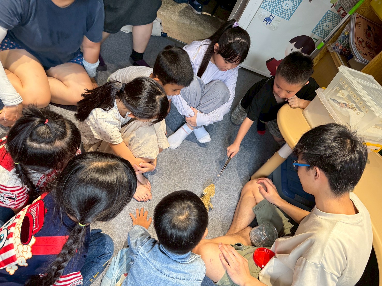 LINE ALBUM 除蟲大師與隱身勇者 250610 4